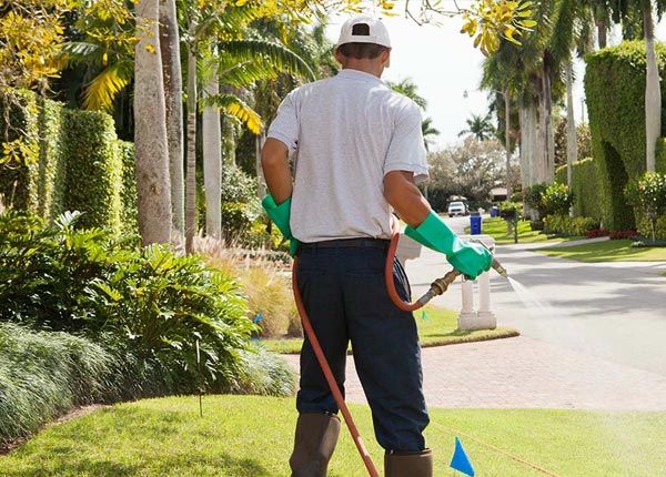 About Tazewell VA Pest Control